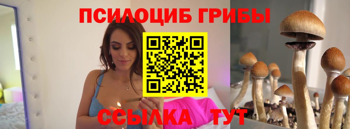 Псилоцибиновые грибы MAGIC MUSHROOMS  Вход с VPN  Баксан 